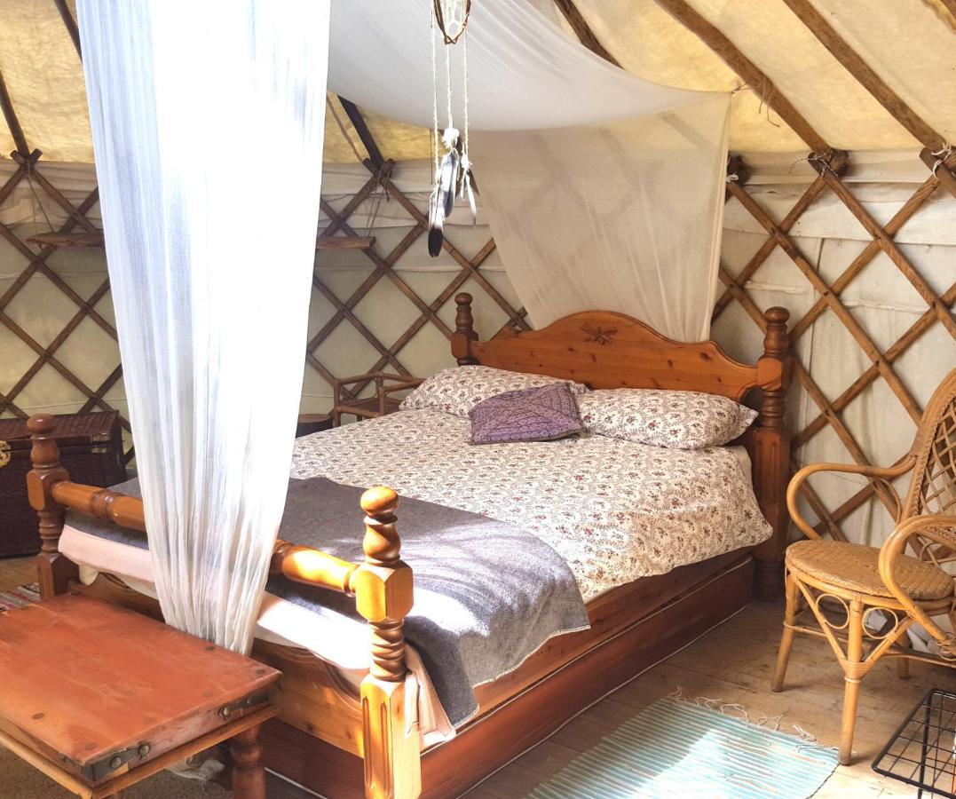 South Downs Eco Lodge & Camping East Meon Zewnętrze zdjęcie