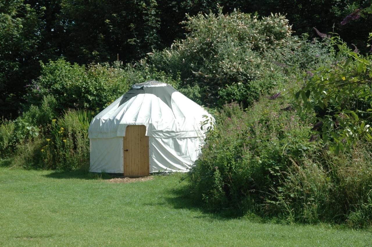 South Downs Eco Lodge & Camping East Meon Zewnętrze zdjęcie