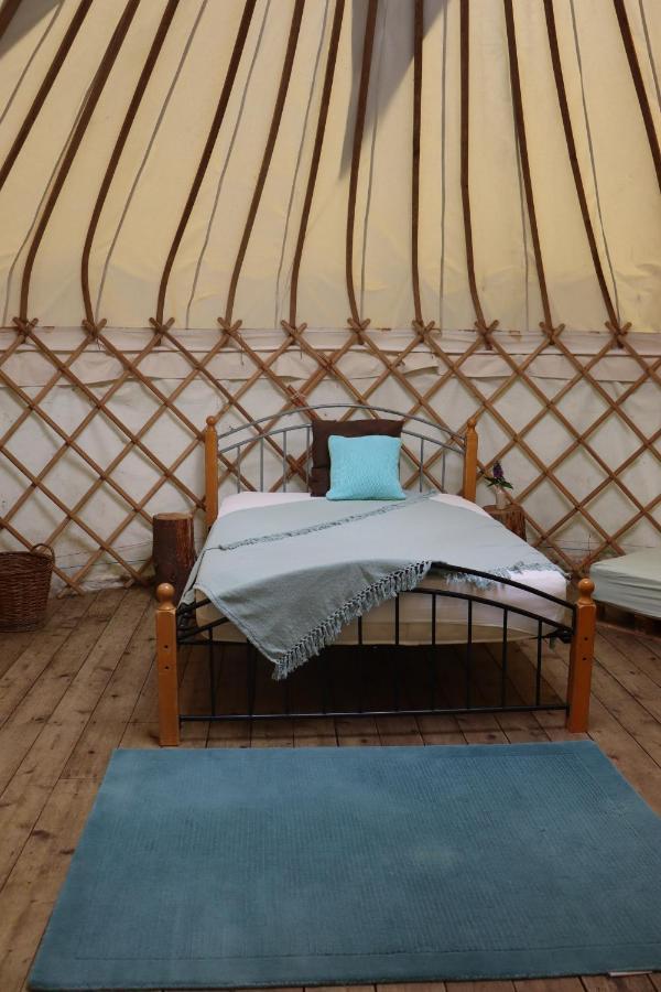 South Downs Eco Lodge & Camping East Meon Zewnętrze zdjęcie