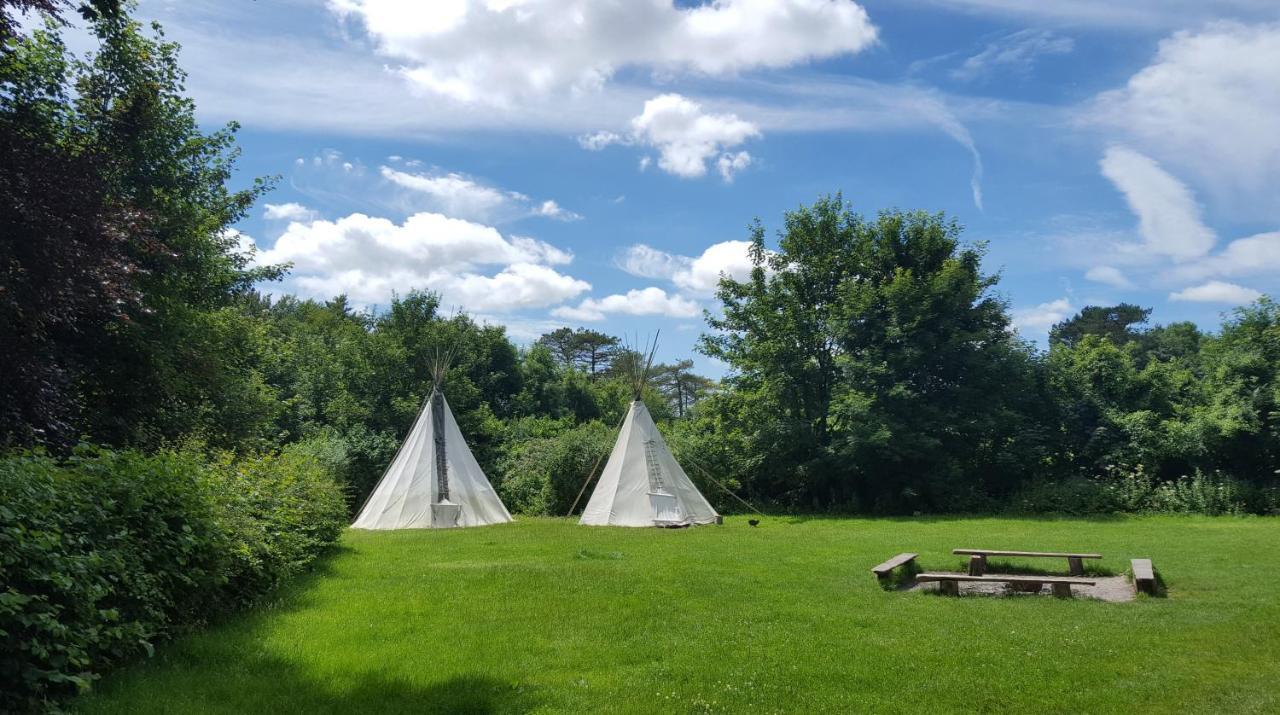 South Downs Eco Lodge & Camping East Meon Zewnętrze zdjęcie
