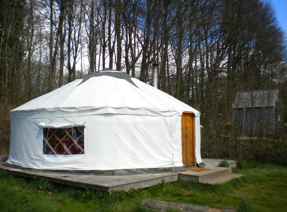 South Downs Eco Lodge & Camping East Meon Zewnętrze zdjęcie
