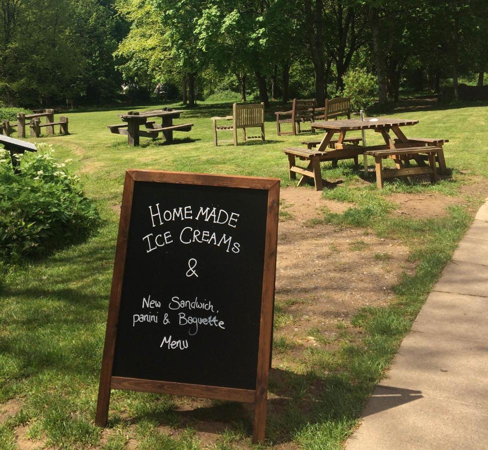 South Downs Eco Lodge & Camping East Meon Zewnętrze zdjęcie