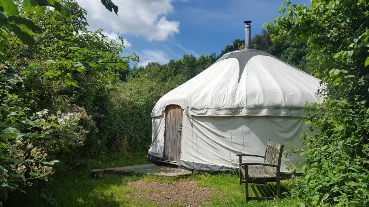 South Downs Eco Lodge & Camping East Meon Zewnętrze zdjęcie